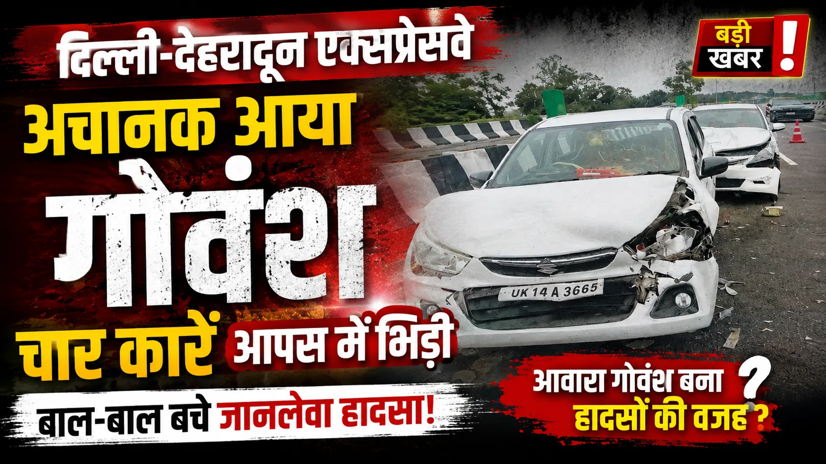 दिल्ली-देहरादून एक्सप्रेसवे पर बड़ा हादसा: गोवंश को बचाने के चक्कर में आपस में भिड़ीं 4 कारें | Delhi Dehradun Expressway Accident News